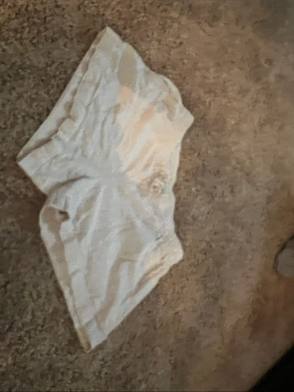 Women’s taupe linen blend shorts